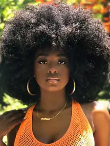 12 Inch Afro Wig for Women, Natural Fluffy Curly Soft Synthetic Hair Wigs, Synthetic Full Machine Wigs for Party, Daily Use, Afro Kinky Wigs, Daily Wear Wig
