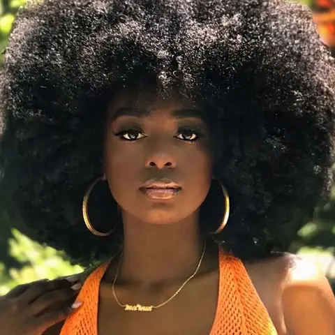 12 Inch Afro Wig for Women, Natural Fluffy Curly Soft Synthetic Hair Wigs, Synthetic Full Machine Wigs for Party, Daily Use, Afro Kinky Wigs, Gorgeous Fluffy Wigs, Daily Wear Wig