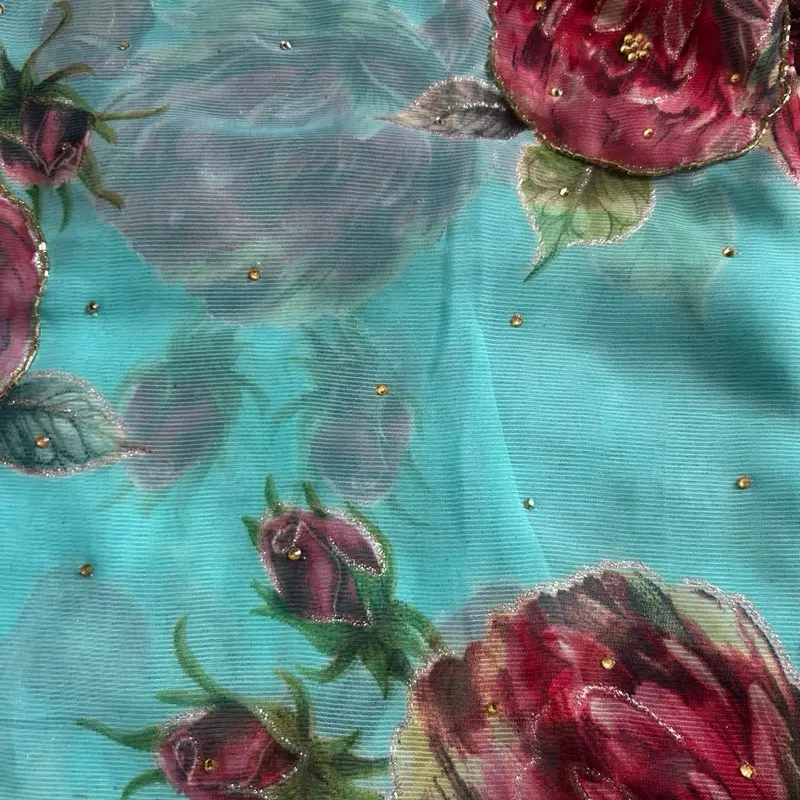 Beautiful sari
