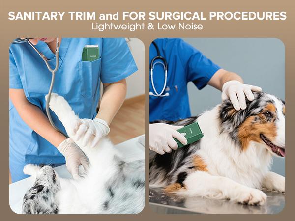 Home Professional Dog Grooming Kit Clipper for Matted & Long Hair, Cordless Pet Shaver Low Noise USB Rechargeable for Cats, Small&Medium Dogs, Handy Pet Hair Grooming Trimmer