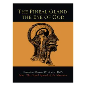 The Pineal Gland: The Eye of God Paperback – July 12, 2015