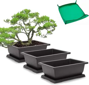 Bonsai Pots 3 Packs 11 Inch Bonsai Tree  Pot with Humidity Drainage Trays & Repotting Mat Rectangle Planter  Starter Kit Growing for Garden Yard Office Indoor Outdoor