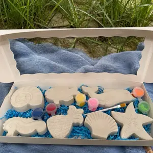 Beach plaster painting box kit
