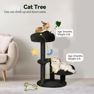 Kitten Cat Tree for Small Cats Under 6 Months, 24.4in Cloud Cat Scratching Post with Bed & Toys, Max Weight 8lbs, Compact Cat Tower with Dangling Balls, Black
