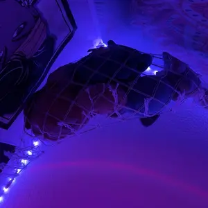 Plush Toy Hammock 60in Hangable Boho Stuffed Animal Corner Hanging Net Practical Cotton Organiser for Bedroom Nursery Decoration Ornaments