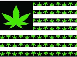420 Flag with Green Leaf Design on Black and White Stripes Product Name