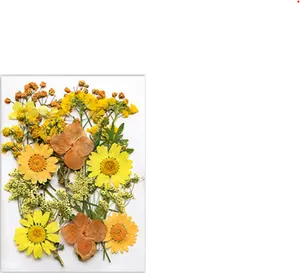 Natural dried flower embossed wrap-around kit — new DIY resin photo frame decoration with realistic petal designs for the eye corners