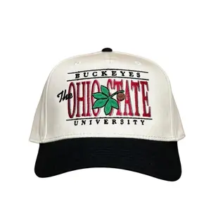 90s Vintage Style Ohio State Snapback baseball cap