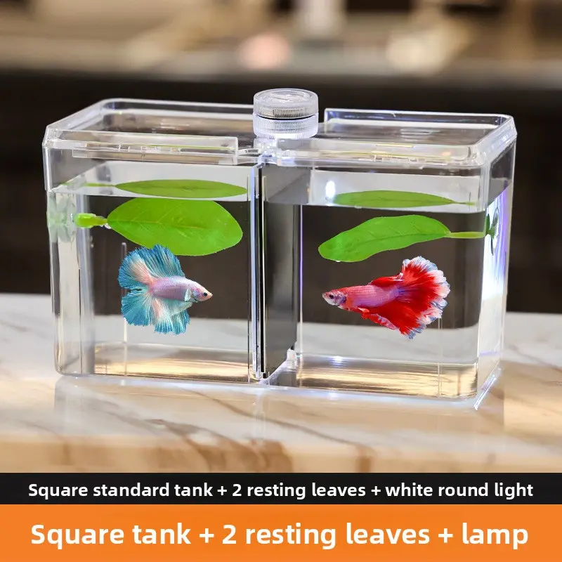 Standard tank + 2 resting leaves + light