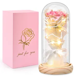 Romantic Eternal Rose Flower in Glass Dome with LED Lights, Christmas Flower Gifts for Women, Light up Rose Anniversary Romantic Gift for her,Birthday Valentine's Day or Home Decor