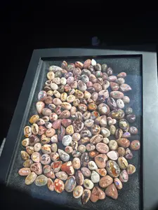 Opals Polished Rocks - Natural Polished Rock with Unique Opal Coloration Next to Coin for Scale