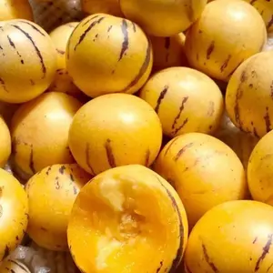 30 Pepino Melon Seeds for Planting - Pear Melon Sweet Fruit Seeds Juicy Fruit Sweet Cucumber Fruit Seeds