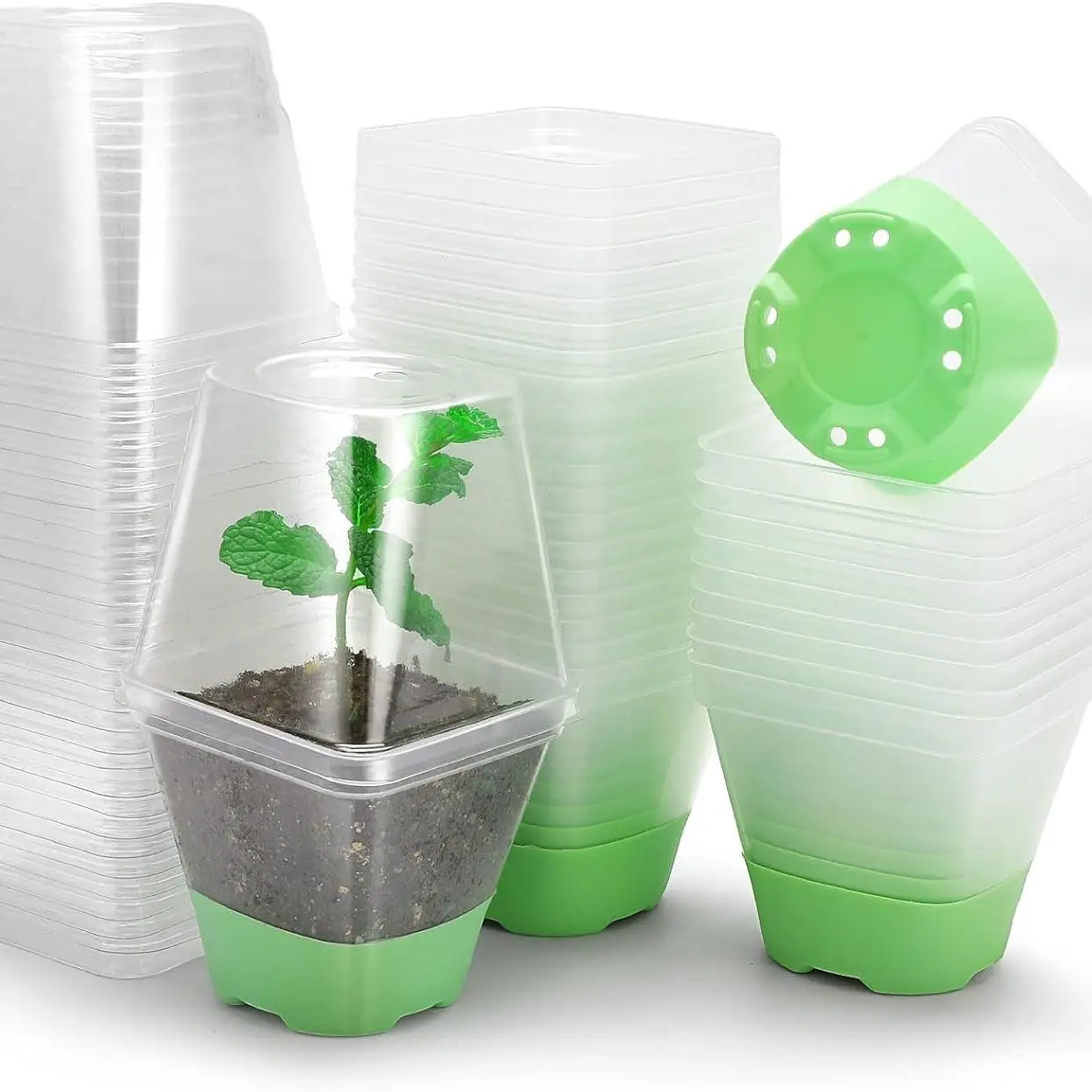 Clear Nursery Pot for Plants, Seed Starting Pot with Drainage Hole, Plant Nursery Pot, Seed Starting Pot with Silicone Base