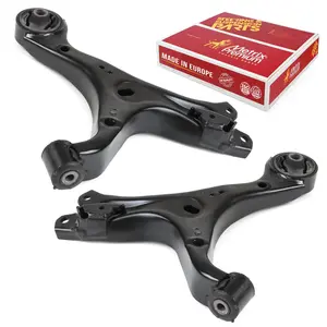 Front Left & Right Lower Control Arm Kit 95363MT