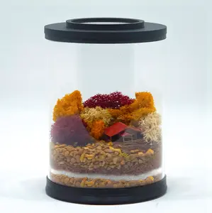 Cozy Cabin Terrarium Kit | MINI