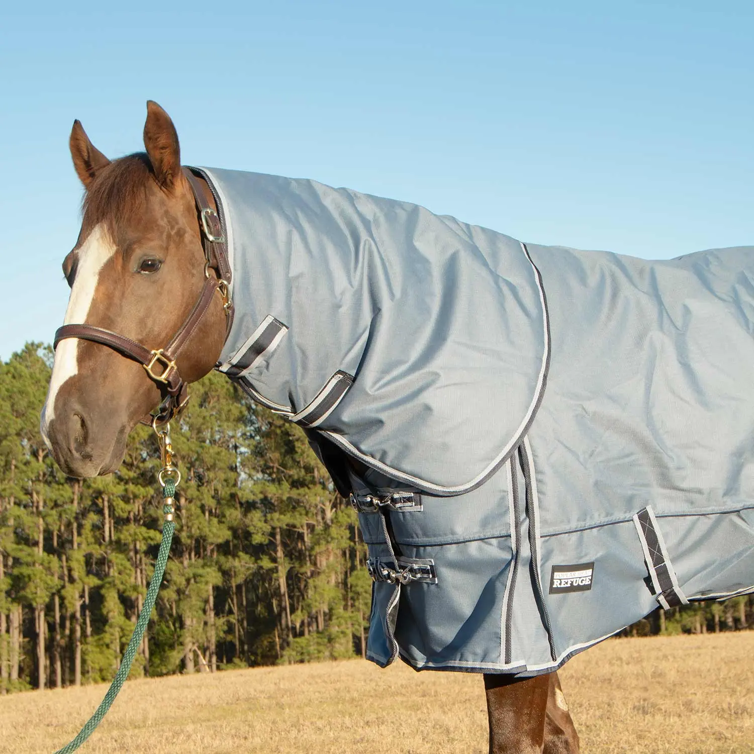 Jeffers Poplar Head "Refuge" 1200 Denier Turnout Blanket with Detachable Neck, 360 Gram, Hamilton Blue