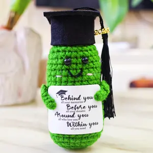 Crochet Graduation Pickle, Funny Crochet Graduation Gift for Him Her, Cute Congrats Class Of Graduation Gift, Emotional Support Pickle