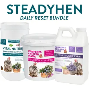 SteadyHen Daily Support Bundle for Chickens Ducks & Poultry - 3 Products Vital Nutrients Herbal Dust Bath Coop Refresher - Essential Care for Poultry Owners