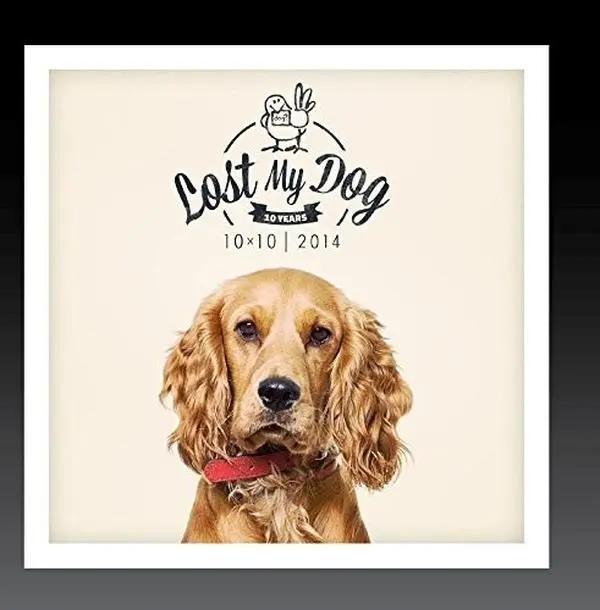 Various Artists - Lost My Dog 10x10 - 2014  [COMPACT DISC - CD]
