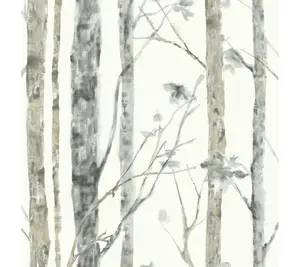 RoomMate Birch Trees White Brown Peel and Stick Wall Decal