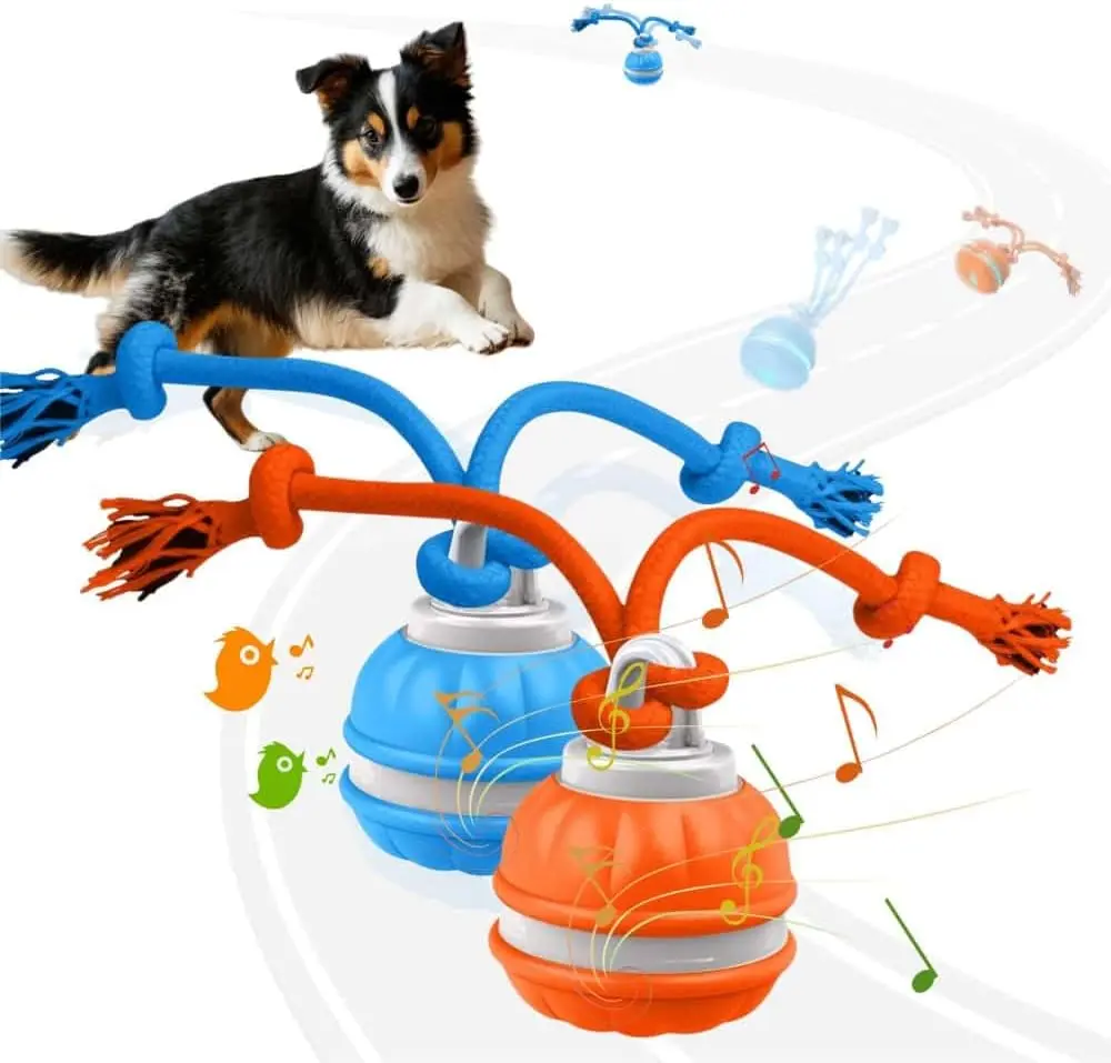 Pet Ball for Dogs, Dog Interactive Toys,Motion Activate Rolling Ball for Puppy/Small Dogs, Automatic Moving Toy,USB Rechargeable,Fun Indoor and Outdoor Pets Exercise Toys