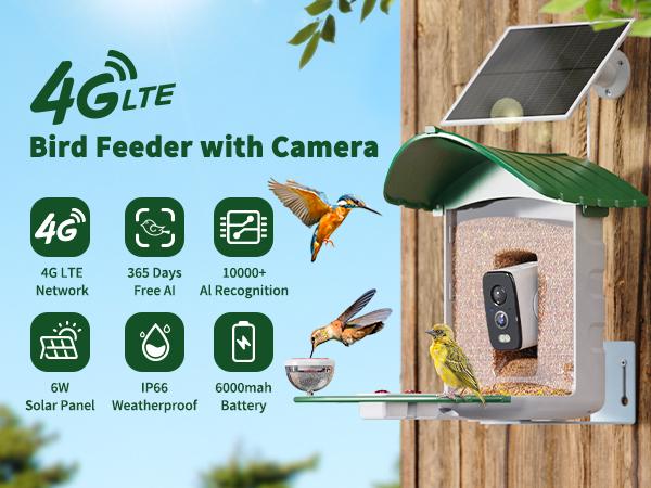 4G LTE Cellular Camera with Bird Feed, 1 Year Trial AI Identify HD Bird Watching Camera, 4 DIY Add-ons, Bird House with Solar Panel for Outdoor, 7800mAh Battery, Suitable for Bird Lover（4G DATA REFILL Required）