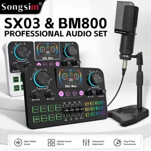 Songsim-SX03 + BM800 Professional Vocals Mixing Set | Independent channel control | Effects settings | High-definition display screen | Ideal choice for karaoke, KTV, and live streaming (atmosphere enhancement set)