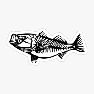 Bone Striped Bass Sticker FRD