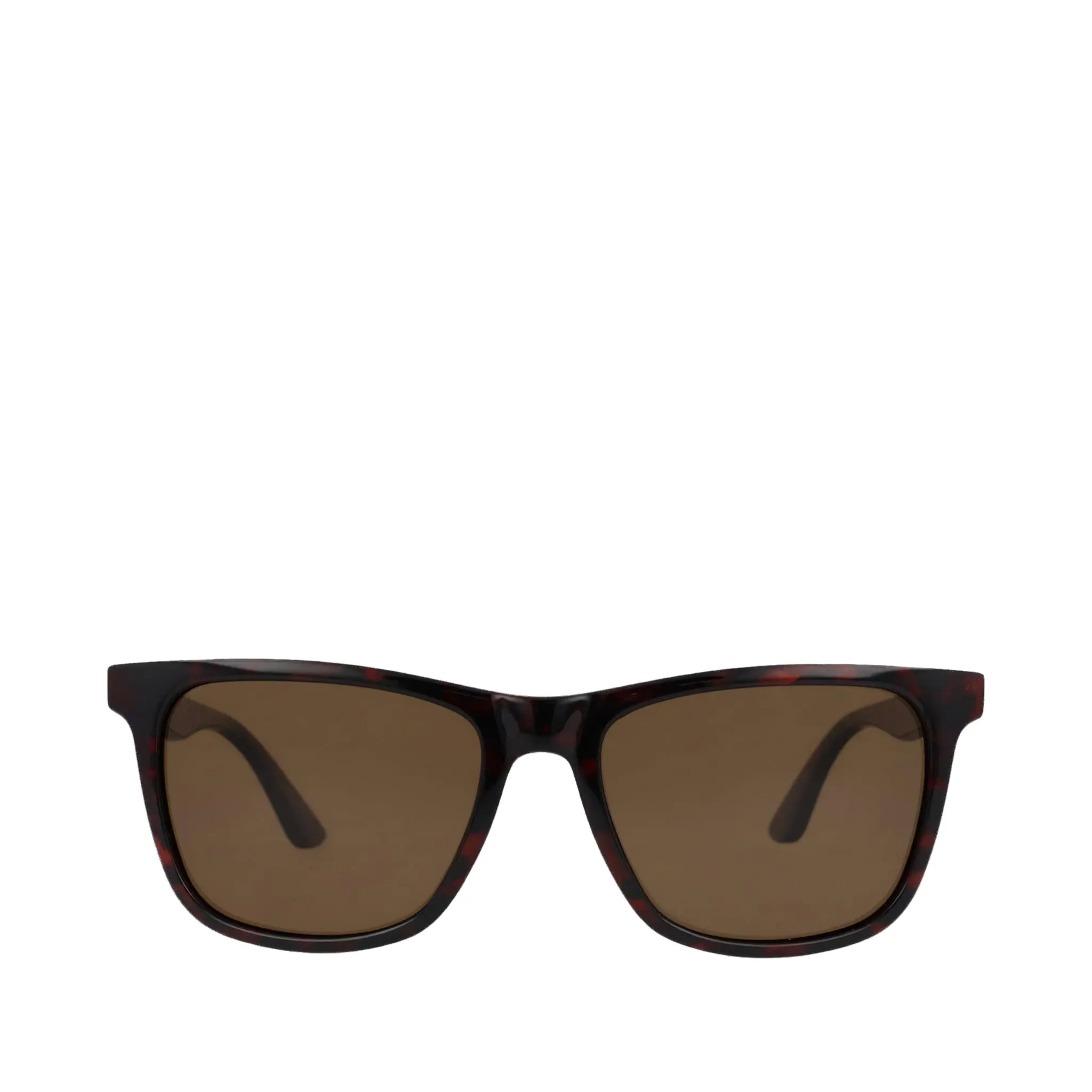 Roman Whiskey Tortoise Traveler Sunglasses