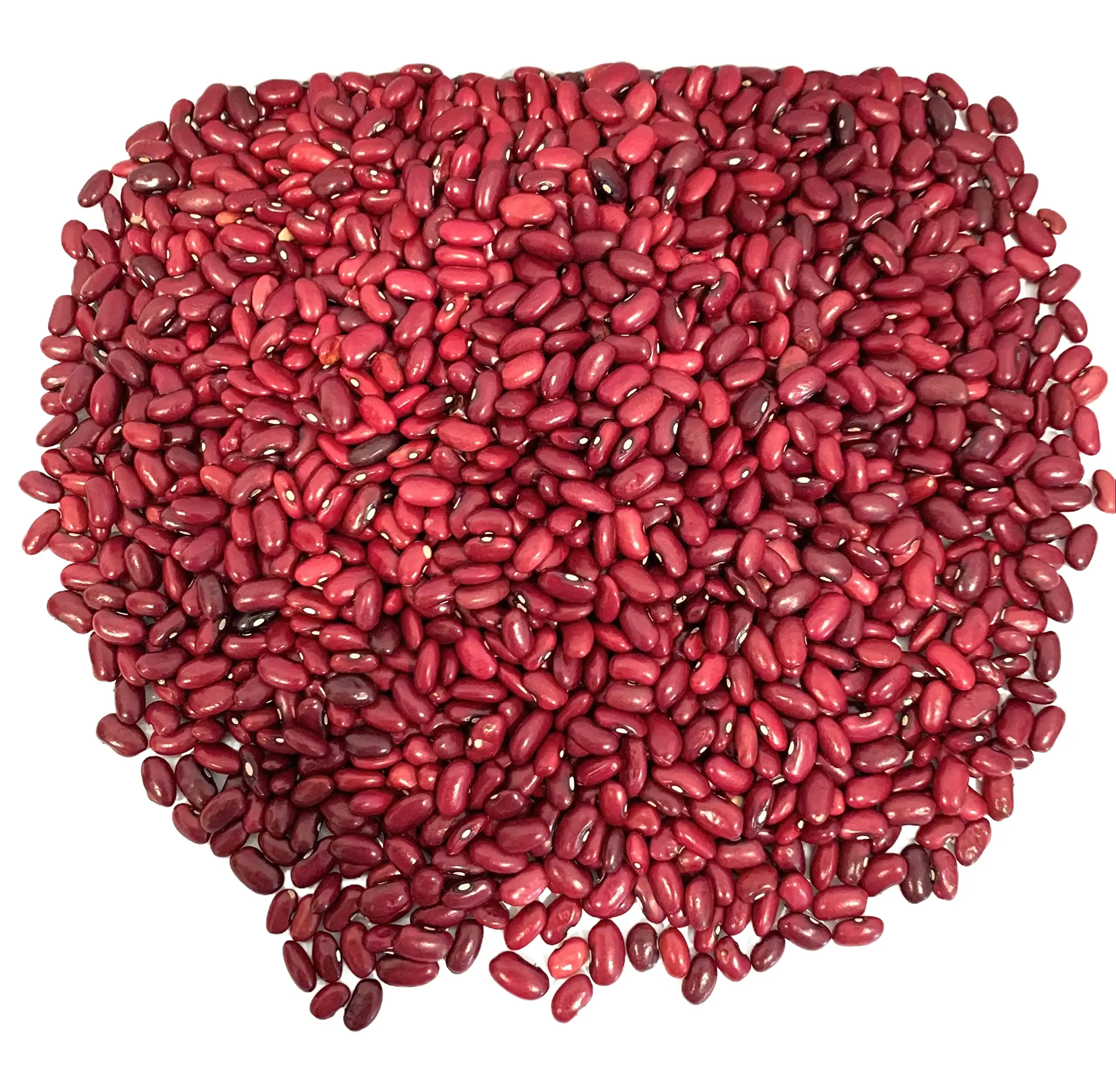Nicaraguan Red Beans 5 lbs - 100% Natural & Traditional Grain for Gallo Pinto & More Protein