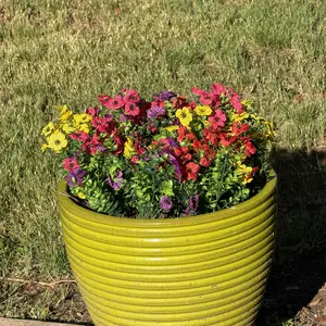 review image 2