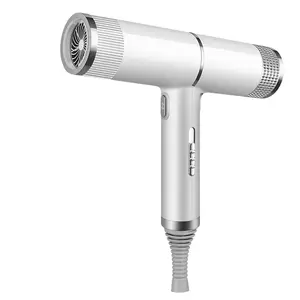 Professional Hair Dryer