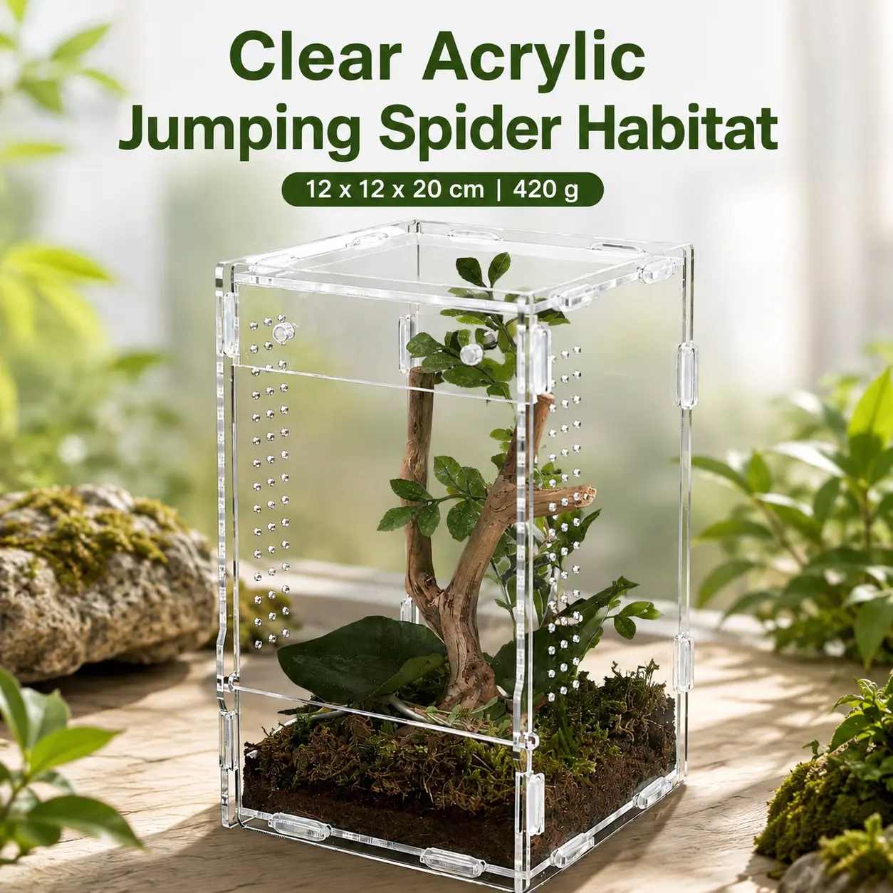 5x5x8 Reptile Tank - Acrylic ReptileEnclosure Terrarium for Cre sted Gecko,Lizards, Spiders & Snakes - Clear LizardHabitat Terrarium