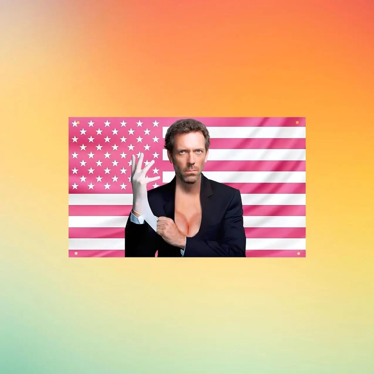Dr House Pink US Flag, House MD Wall Tapestry, Gregory House Meme Wall Flag, Funny Dorm Room Decor, Medical TV Fan Gift