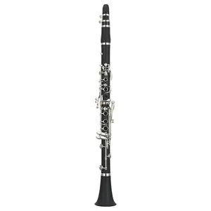Rebrand C2: Student Bb Clarinet, ABS