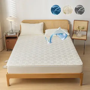 2/3PCS Waterproof Mattress Protector Set with Fitted Sheet & Cover, Deep Pocket 6"-18", Breathable Quiet Washable Bed Cover with Pillowcases, Ideal for Kids, Pets & Hotel Use