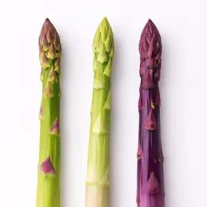Asparagus Garden Variety Pack | Jersey Knight, Mary Washington & Purple Passion, 2-Year Crowns, Non-GMO | Hand Picked Nursery