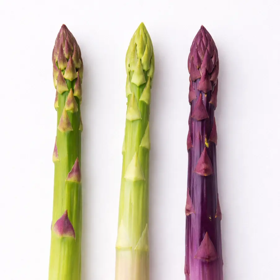 Asparagus Garden Variety Pack | Jersey Knight, Mary Washington & Purple Passion, 2-Year Crowns, Non-GMO | Hand Picked Nursery