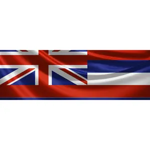 Hawai'i Brady List