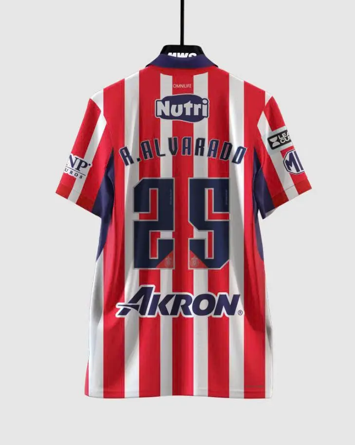 Alvarado #25 2627 ChivasGuadalajara home jersey , Men's Football Shirt, Mexico Football Shirt, LigaMx Football Shirt, Soccer Jersey, Gift For Him, Football Kit