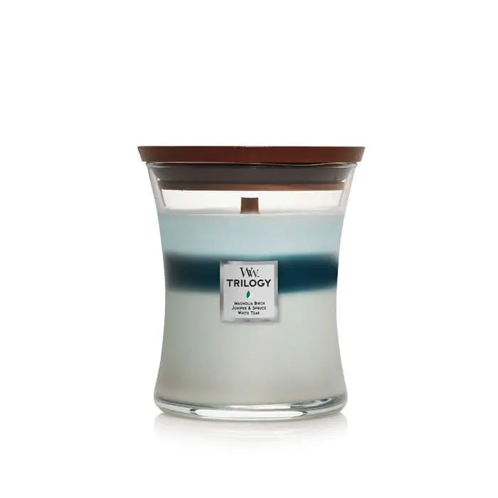 ICY WOODLAND WoodWick Trilogy 10 oz Scented Jar Candle - 3-in-1 Aroma Candle for Home Supplies, Home Decor