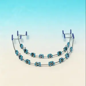 Adult Teeth Decoration Accessories, Colorful Metal Brackets with Wire, Temporary Orthodontic Style, Set of Two