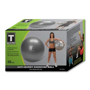 Body-Solid Tools Stability Ball 55cm Grey 55CM