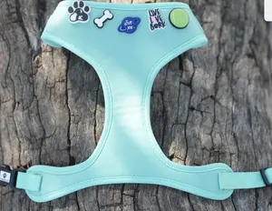 ADJUSTABLE DOG HARNESS – TURQUOISE