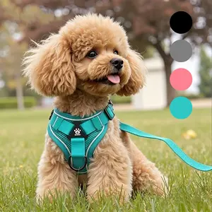 Adjustable Dog Harness Set, Breathable Mesh Reflective Anti-Pull Pet Vest for Small Medium Large Dogs, Outdoor Walking Night Safety