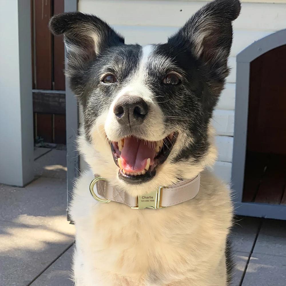 Engraved Dog Pet Collar Custom Puppy Kitten ID Tag Accessories Collar Personalized Nameplate Collars For Dogs Cats Chiens XS-L