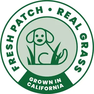 Fresh Patch shop logo