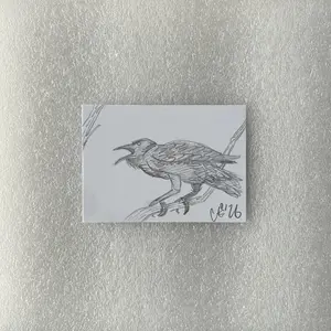 (NEW!) Crow 1/1 Original Artwork Sketch Card by Autographed and Drawn Calahan Merten - Collectible Entertainment Trading Card (Limited Edition Insert)