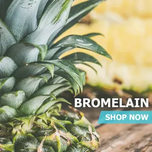 Bromelain - Pineapple Powder Bromelain - Pineapple Powder