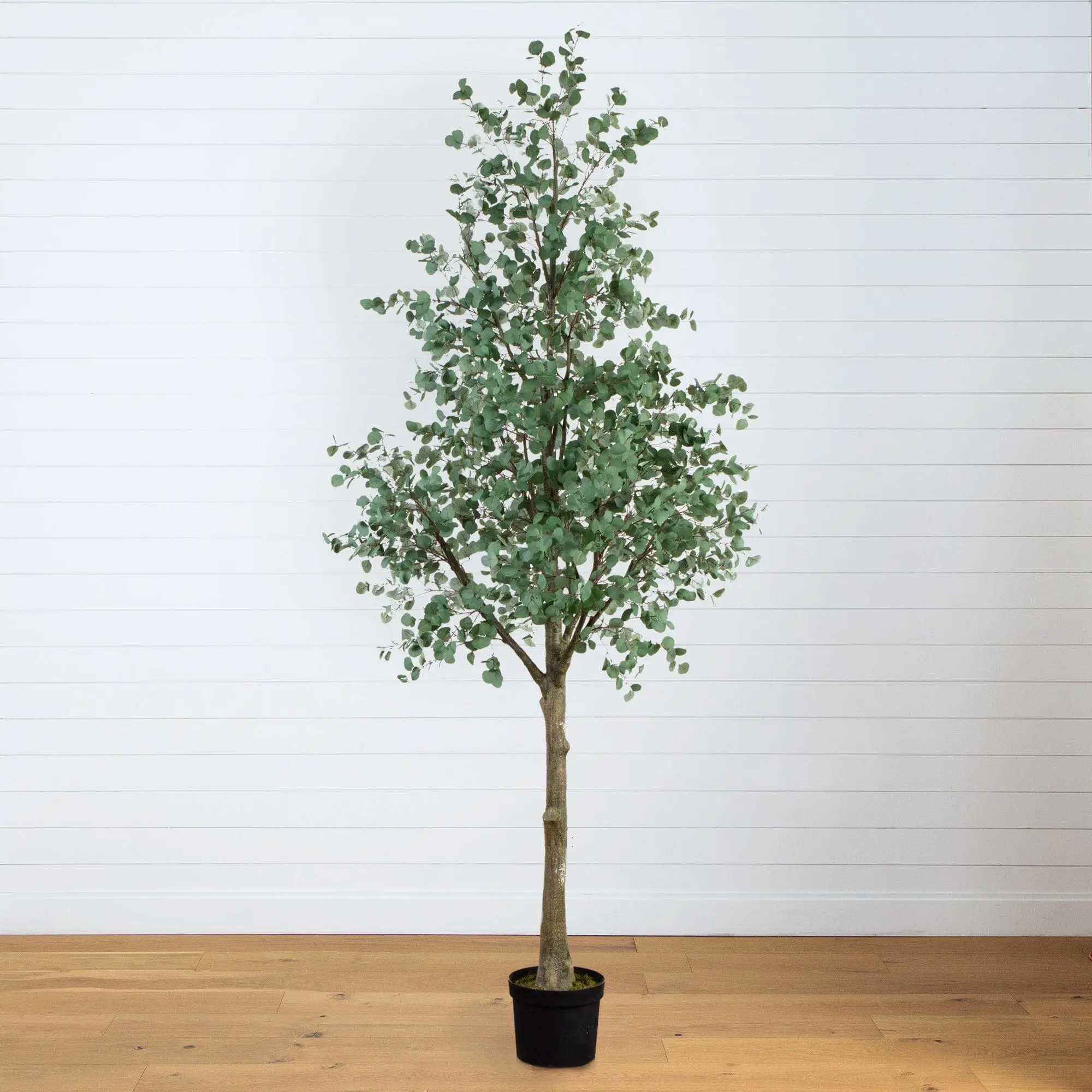13ft Lifelike Artificial Eucalyptus Tree - Synthetic, Natural Look Floor Decor for Nursery & Home Rooms, All Seasons Decorative Plant with Realistic Leaf Details